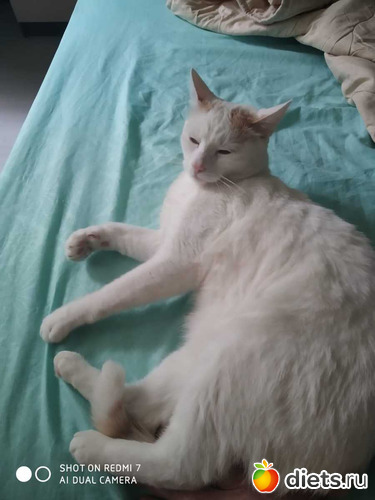 28 фото: Октябрь 2020