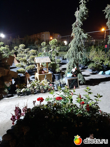 42 фото: Октябрь 2020