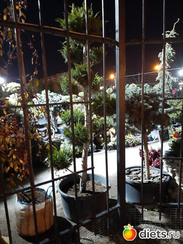 43 фото: Октябрь 2020