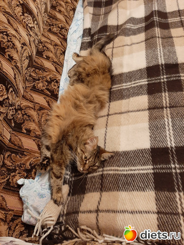 46 фото: Октябрь 2020