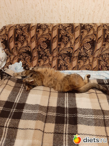 47 фото: Октябрь 2020