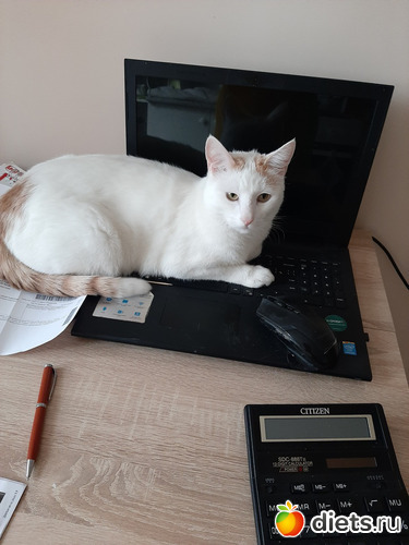 64 фото: Октябрь 2020