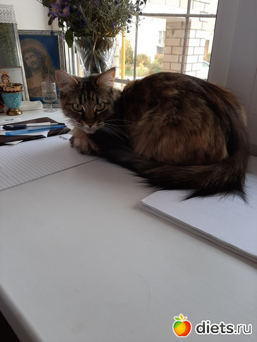 54 фото: Октябрь 2020