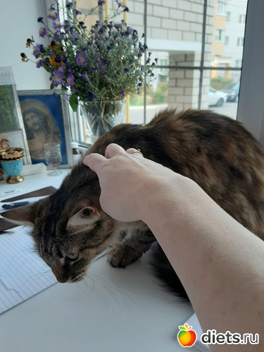 56 фото: Октябрь 2020