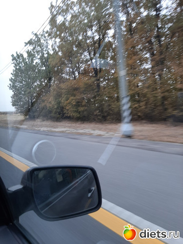 61 фото: Октябрь 2020