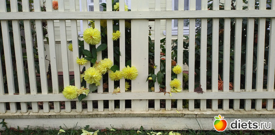 20 фото: Избыточный вес и гормоны