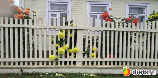 21 фото: Избыточный вес и гормоны