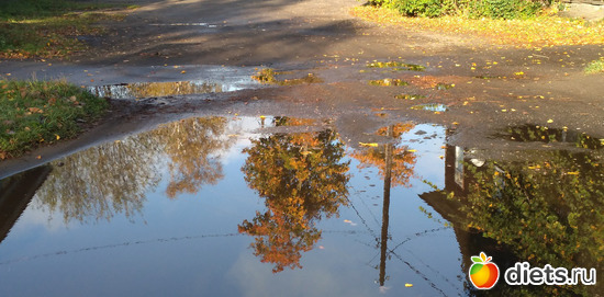 22 фото: Избыточный вес и гормоны