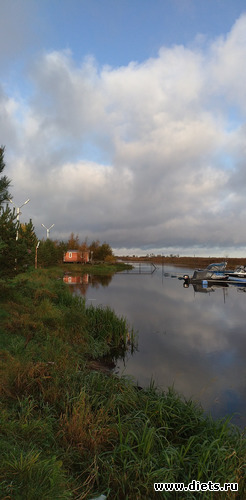 25 фото: Избыточный вес и гормоны