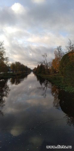 27 фото: Избыточный вес и гормоны