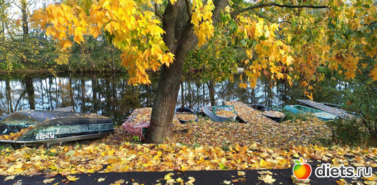 28 фото: Избыточный вес и гормоны