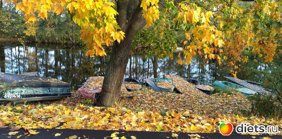 30 фото: Избыточный вес и гормоны