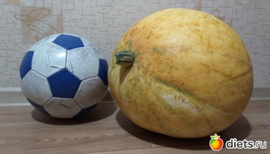 32 фото: Избыточный вес и гормоны