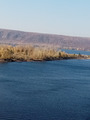 Волга