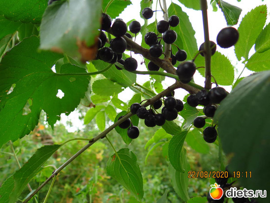 смородинка, наверное, альбом: Лето 20 и 22/ Селетинские каньоны. 22.08.20/14.07.22