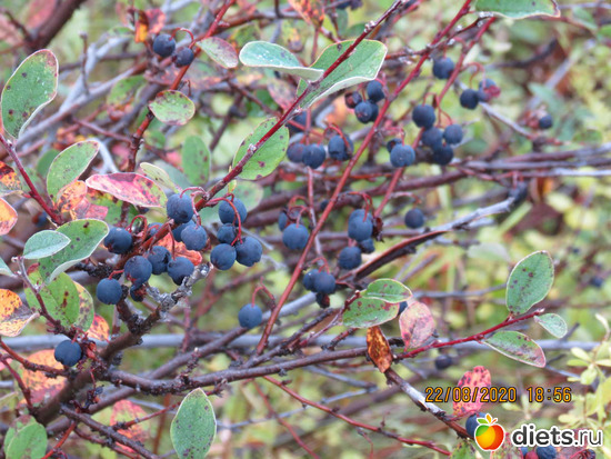 56 фото: Лето 20 и 22/ Селетинские каньоны. 22.08.20/14.07.22