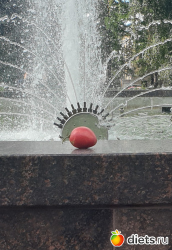 10 фото: Просто