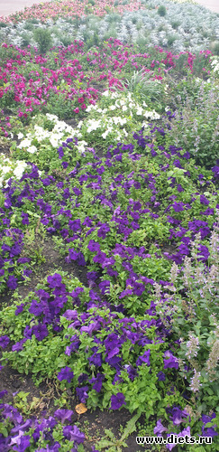 1 фото: Просто