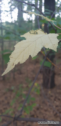 9 фото: Просто