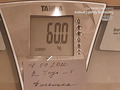 Взвешивание 08.09.2020