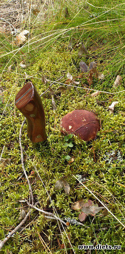 11 фото: Отпуск осень2020