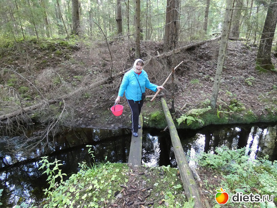 14 фото: Отпуск осень2020