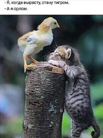 ���� ������ �������� ������� ������