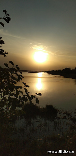 185 ����: ������