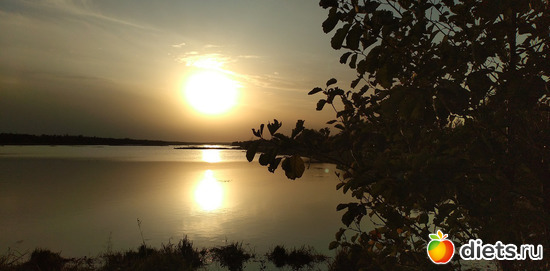 186 ����: ������