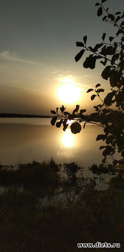 187 ����: ������