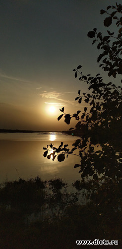 188 ����: ������