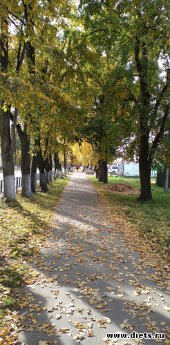 174 ����: ������