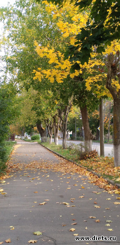 176 ����: ������