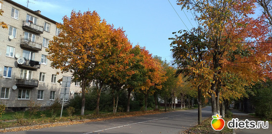 177 ����: ������