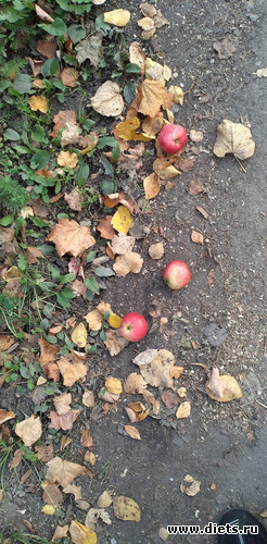 180 ����: ������