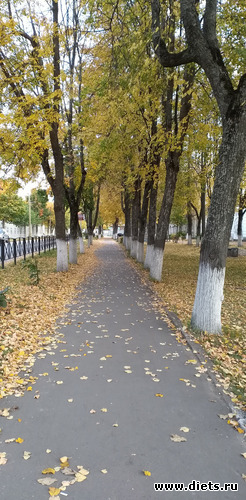 181 ����: ������