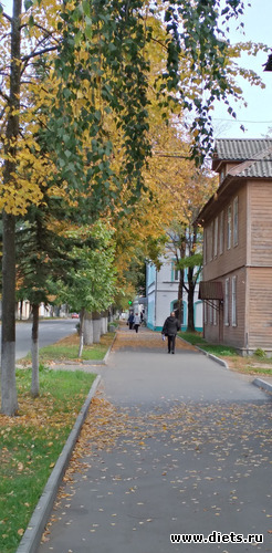 182 ����: ������