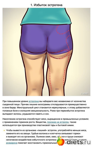 1 фото: Избыточный вес и гормоны