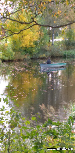 190 ����: ������