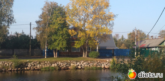 191 ����: ������