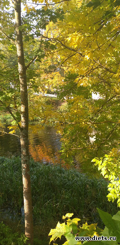 192 ����: ������