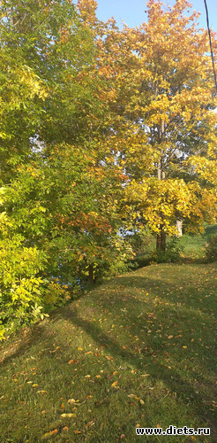 193 ����: ������