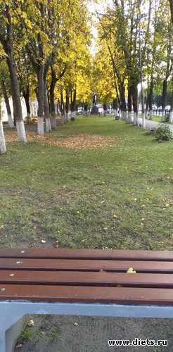 194 ����: ������