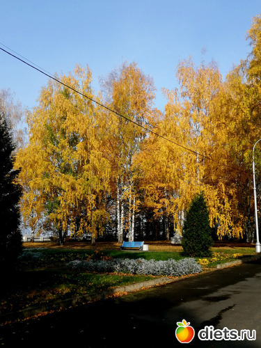 1 фото: Осень в Усть-Качке - 2020