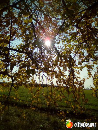 4 фото: Осень в Усть-Качке - 2020