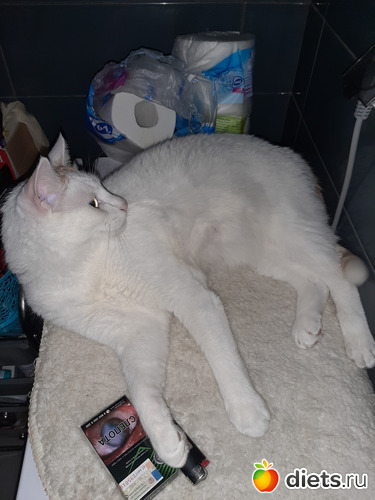 11 фото: 05042021