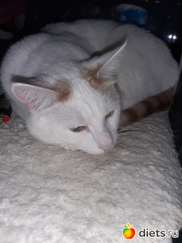 12 фото: 05042021