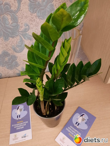 Долларовое в новом домике. И буклеты, дали на вакцинации, альбом: Моя оранжерея 2021