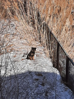 ��-���� ��� ������ ���� ��������� � ���� ����... :) ���� ���������