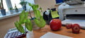 аура вокруг меняется